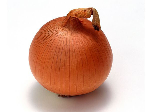 錦球三號(hào)（中早熟）